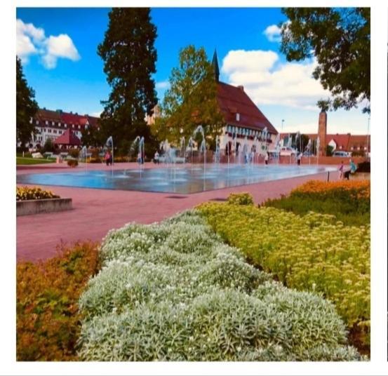 Апартаменты Lieblingsort Фройденштадт Экстерьер фото